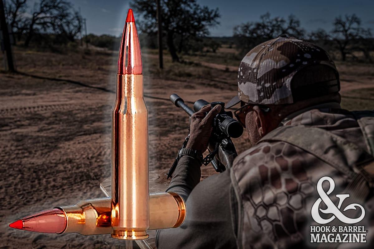 .308 Winchester: A Hunting Workhorse